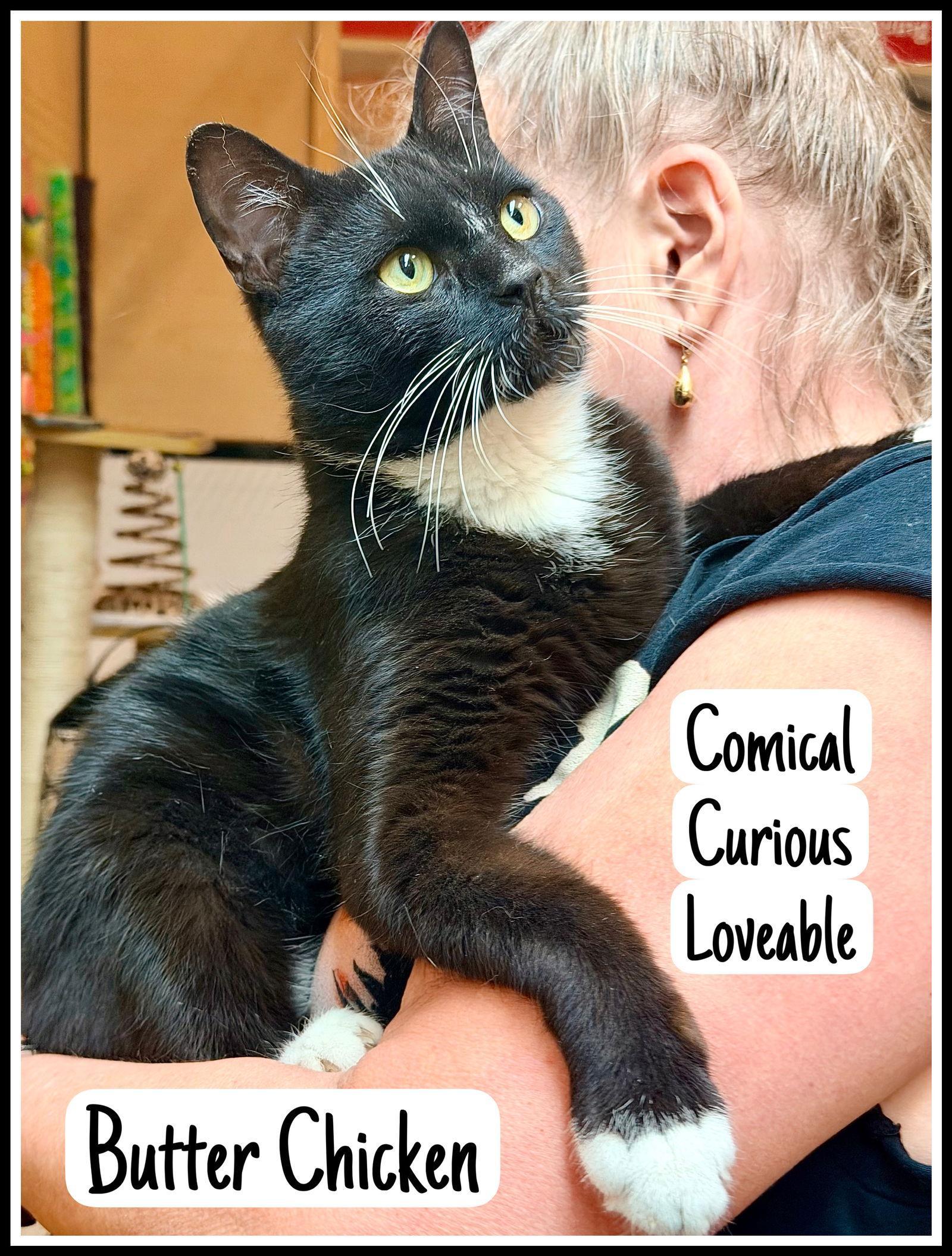 Butter Chickenwillow