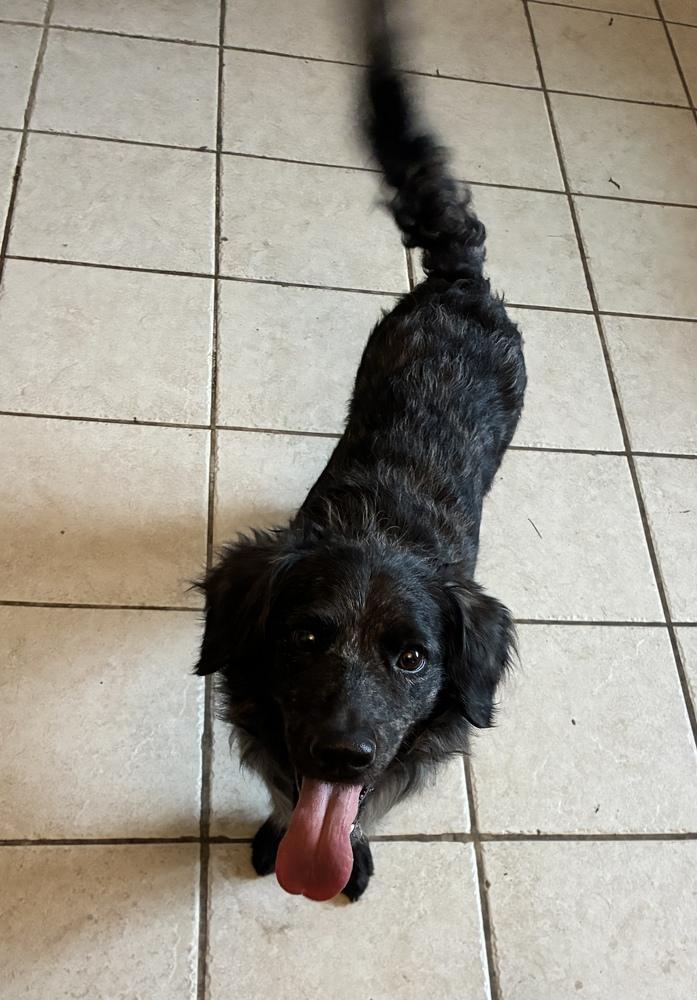 Outstanding Olive Oil