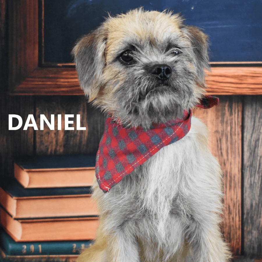 Daniel