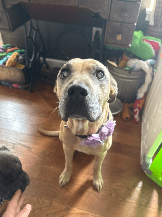 Sadie