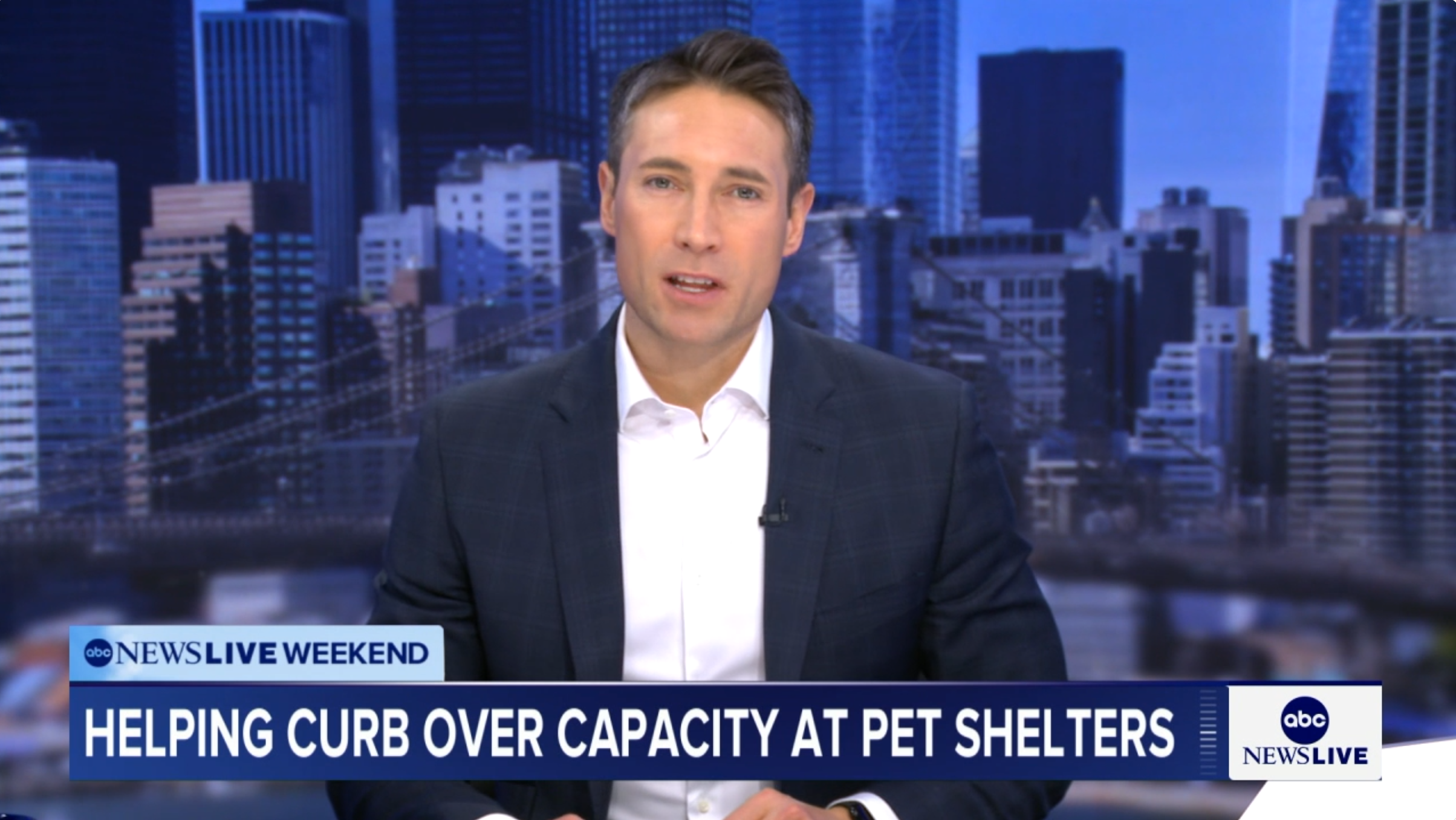 GetBuddy on ABC News: What to Know Before Adopting | GetBuddy Press