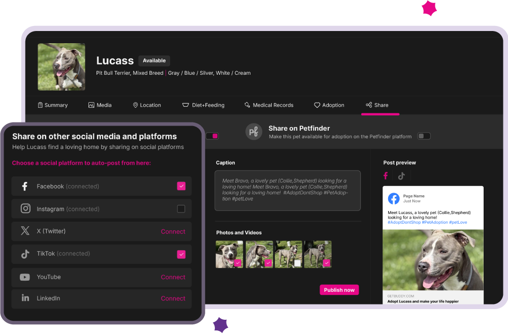 Social & Website Integration